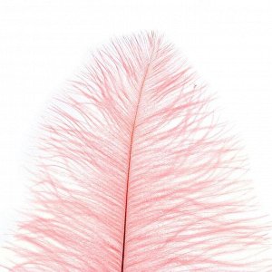 Перо для декора, длина от 45 до 50 см, цвет розовый