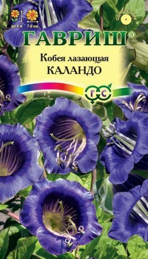 Кобея лазающая Каландо сине-фиолетовая, до 4м, однол 5шт Гавриш/ЦВ