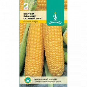 Кукуруза Кубанский Сахарный 210 раннеспелая 5гр Евро/ЦВ