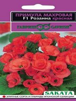 Примула Розанна красная F1 махровая, красная, до 15см мног 5шт Гавриш/ЦВ