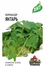 С Пряность Кориандр (Кинза) Янтарь среднеспелый ХИТ 2гр Гавриш/ЦВ1/10