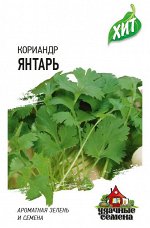 Пряность Кориандр (Кинза) Янтарь среднеспелый ХИТ 2гр Гавриш/ЦВ