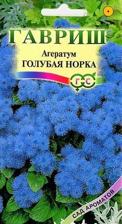 Агератум Голубая Норка темно-голубой, до 25см, однол 0,05гр Гавриш/ЦВ