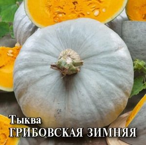 С Тыква Грибовская Зимняя крупноплодная, раннеспелая, кустовая 2гр Гавриш/БП