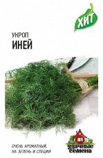 С Укроп Иней высокор, среднепоздний ХИТ 2гр Гавриш/ЦВ1/10