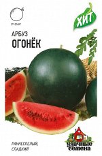 Арбуз Огонек раннеспелый до 2,5кг ХИТ 1гр Гавриш/ЦВ