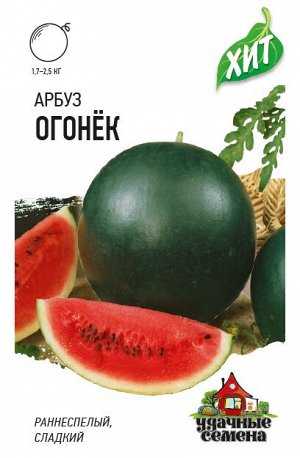 С Арбуз Огонек раннеспелый до 2,5кг ХИТ 1гр Гавриш/ЦВ1/100