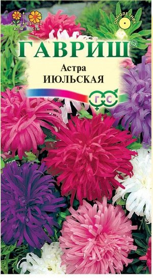 Астра Июльская когот, махровая смесь, до 40см, однол 0,3гр Гавриш/ЦВ