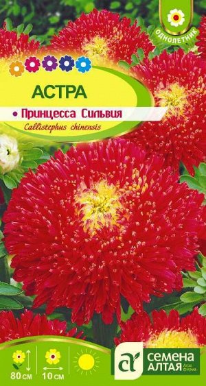 С Ц Астра Принцесса Сильвия густомахр, карминно-красная, 80см, однол 0,2гр СА/ЦВ