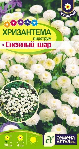 Хризантема Снежный Шар пиретрум, махровая белая, 30см, однол 0,01гр СА/ЦВ