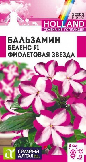 Бальзамин Беленс Фиолетовая Звезда 15-20см 5шт (Голландия) СА/ЦВ