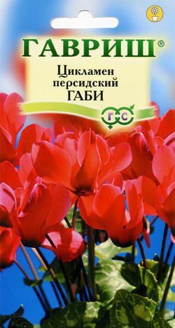 Цикламен персидский Габи мини красный, 15-20см 3шт Гавриш/ЦВ