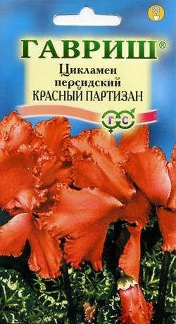 Цикламен персидский Красный Партизан красный, 15-20см 3шт Гавриш/ЦВ