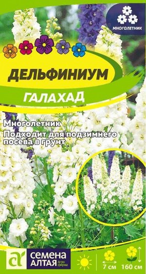 Дельфиниум Галахад белый, мног, до 2м 0,1гр СА/ЦВ