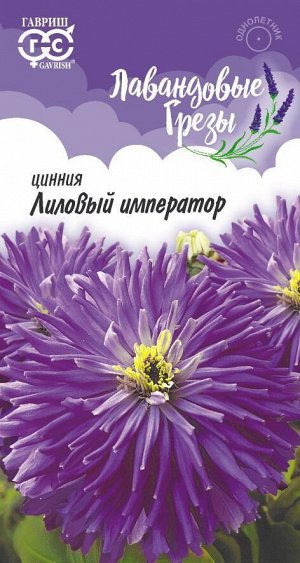 Цинния Лиловый Император высокор, кактус, лиловая, 90см, однол 0,2гр Гавриш/ЦВ