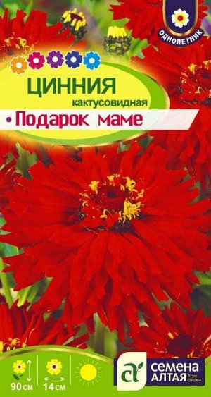 Цинния Подарок Маме кактусов, ярко-красная, 90см 0,3гр СА/ЦВ