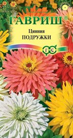 Цинния Подружки низкор, кактус, смесь, 35см, однол 0,2гр Гавриш/ЦВ