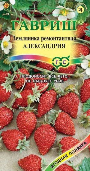 С Земляника Александрия раннеспелая, ремонт, не образует усов 0,03гр Гавриш/ЦВ 1/10