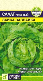 Салат Зайка-Зазнайка кочанный, среднеспелый 0,5гр СА/ЦВ