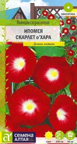 Ипомея Скарлет О&#039; Хара вьющ, красная с белым горлом, 2,5м, однол 0,5гр СА/ЦВ