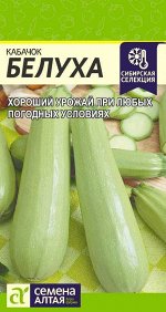 Кабачок Белуха раннеспелый, светло-зеленый, куст 2гр СА/ЦВ 1/10