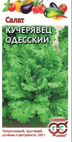 С Салат Кучерявец Одесский полукочанный, среднеспелый ХИТ 0,5гр Гавриш/ЦВ