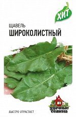 С Щавель Широколистный раннеспелый ХИТ 0,5гр Гавриш/ЦВ