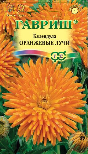 Календула Оранжевые Лучи густомахр, оранжевая, 50см, однол 0,3гр Гавриш/ЦВ