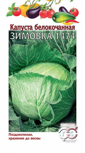 Капуста бк Зимовка позднеспелая, для хранения ХИТ 0,5гр Гавриш/ЦВ 1/10