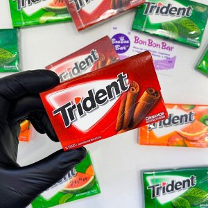 Trident Cinnamon 26g - Жевательная резинка Трайдент корица. 14 шт