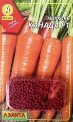 Морковь Канада F1 (Код: 73380)