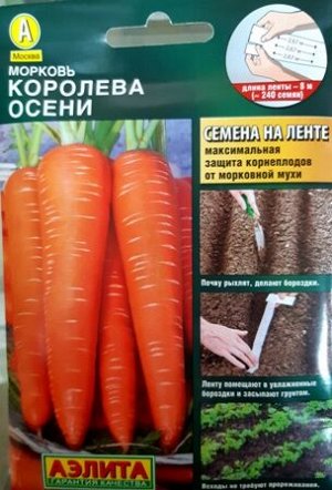 Морковь Королева Осени (лента) (Код: 7776)