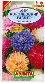 Астра Королевский размер Смесь (Код: 7006)