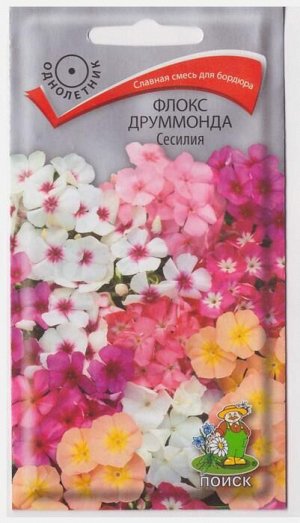 Флокс Сесилия (Код: 66933)