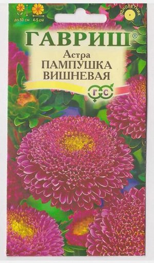 Астра Пампушка вишневая (Код: 70571)