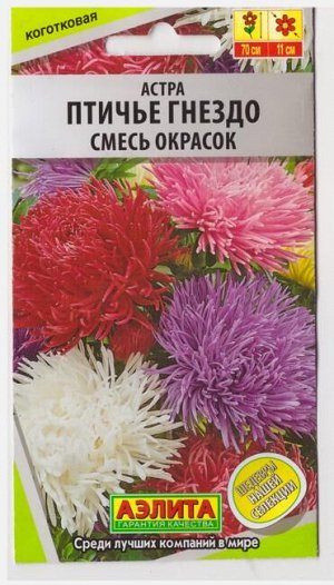 Астра Птичье Гнездо Смесь окрасок (Код: 70001)