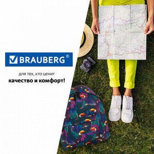 Рюкзак BRAUBERG, универсальный, сити-формат, Туканы, 20 литров, 41х32х14 см, 228847