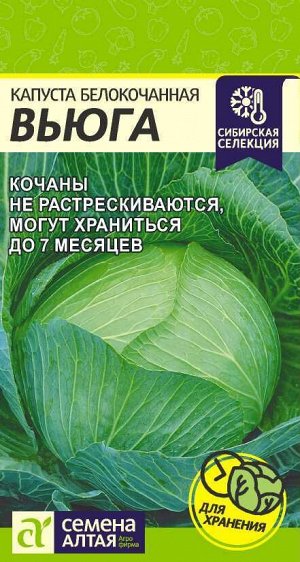 Капуста Белокочанная Вьюга 0,5 гр. Сибирская Селекция!