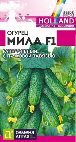 Огурец Мила F1/Сем Алт/цп 5 шт. Seminis (Голландские Семена)