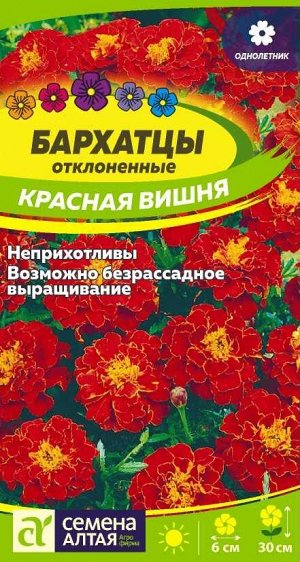 Цветы Бархатцы Красная Вишня/Сем Алт/цп 0,2 гр.