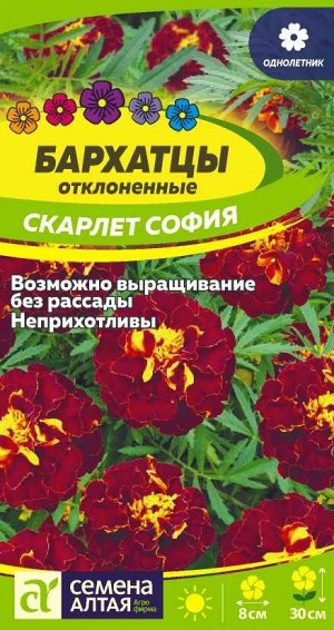 Цветы Бархатцы Скарлет София махровые/Сем Алт/цп 0,2 гр.