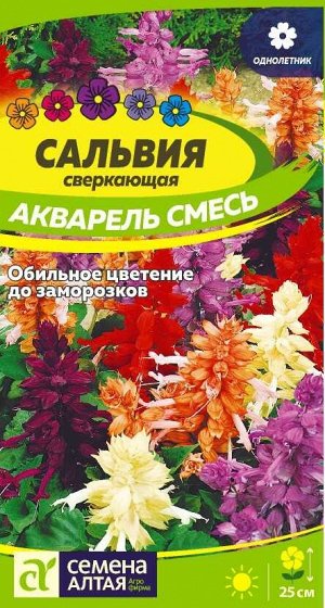 Цветы Сальвия Акварель/Сем Алт/цп 0,1 гр.
