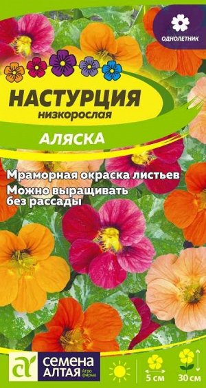 Настурция Аляска низкорослая/Сем Алт/цп 1 гр.