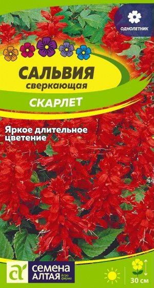 Цветы Сальвия Скарлет сверкающая/Сем Алт/цп 0,1 гр.