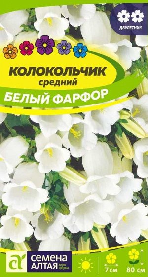 Цветы Колокольчик средний Белый Фарфор/Сем Алт/цп 0,1 гр. двулетник