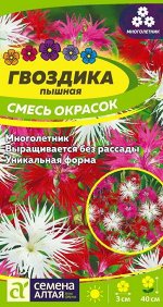 Цветы Гвоздика смесь окрасок Пышная/Сем Алт/цп 0,1 гр. многолетник