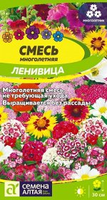 Цветы Смесь Ленивица многолетняя низкая/Сем Алт/цп 0,3 гр. многолетник