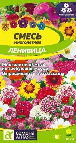 Цветы Смесь Ленивица многолетняя низкая/Сем Алт/цп 0,3 гр. многолетник