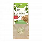 Гречка зелёная
