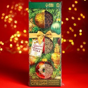 Подарочный набор специй «Яркого нового года»: гвоздика, розмарин, прованские травы, 70 г.